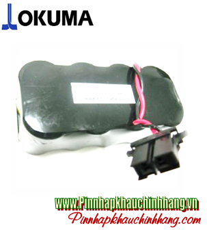 OKUMA E5503-377-001; Pin nuôi nguồn PLC OKUMA E5503-377-001